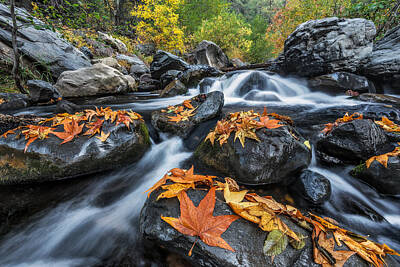 Oak Creek Canyon Art Prints