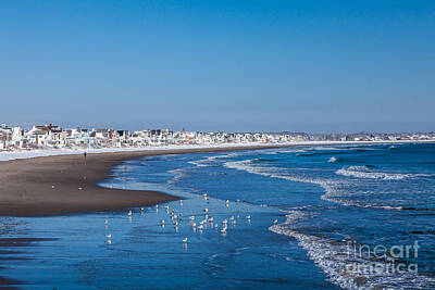 Designs Similar to Wells Beach in Winter