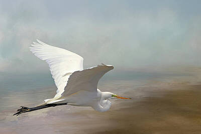 Designs Similar to Great Egret by Donna Kennedy