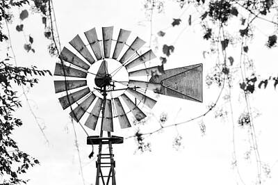  Photograph - Windmill   Middletown by Michael Schlueter