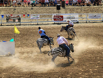 Designs Similar to Zebra Races by Donna Kennedy