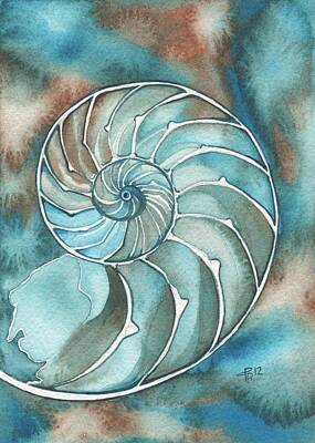 Nautilus Sea Shell Abstract Watercolor Painting Art Print by Artist DJ Rogers 
