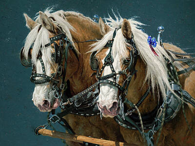 Belgian Draft Horse Art