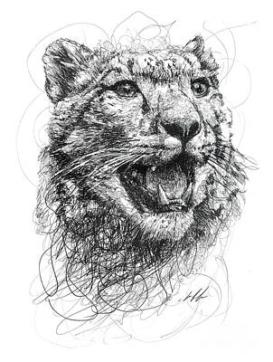 King Cheetah Drawings