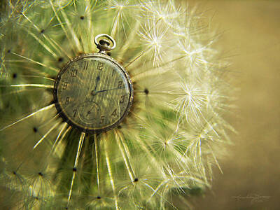  Photograph - Dandelion Clock II by Karen Casey-Smith