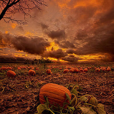 The Great Pumpkin Photos