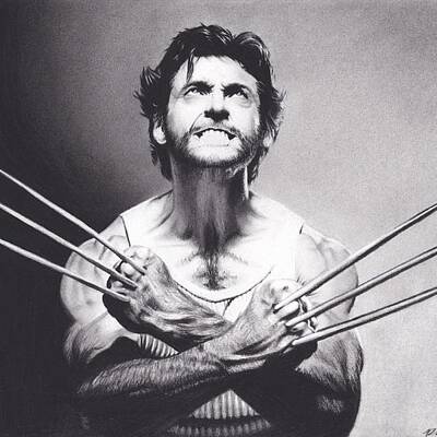 Designs Similar to Wolverine by Brittni DeWeese