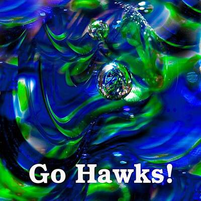 Designs Similar to Go Hawks Poster