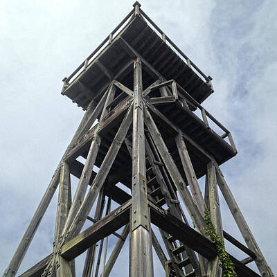  Photograph - Mendocino Water Tower by Dan Reich