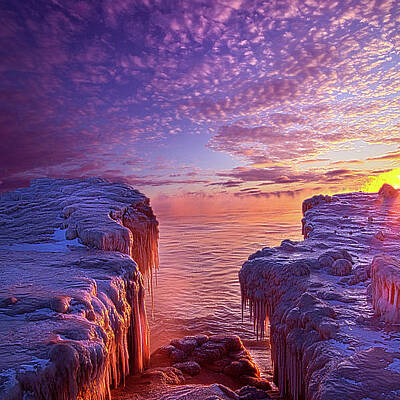 Designs Similar to Journey's End #1 by Phil Koch
