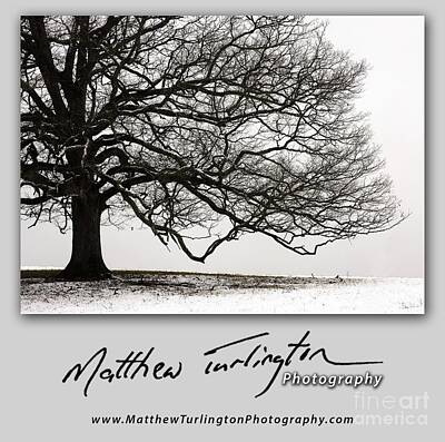 Photograph - Snow Tree T-Shirt by Matthew Turlington