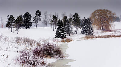  Photograph - Winter Wonderland by Viral Padiya