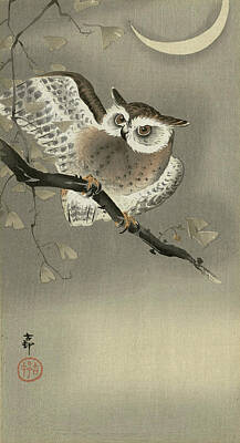 Designs Similar to Owl, 1930 by Ohara Koson