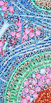 Bacterium Art Prints