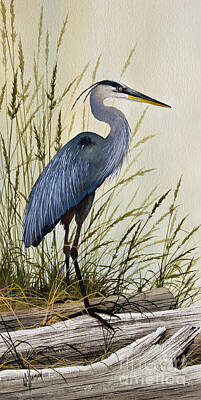 Great Blue Heron Watercolor Art