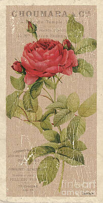 Vintage Garden Art Fine Art America See more ideas about vintage seed packets, seed catalogs, vintage flowers. vintage garden art fine art america