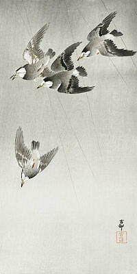 Starlings Paintings