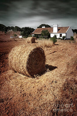 Designs Similar to Farmland #1 by Carlos Caetano