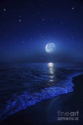 Sea Moon Full Moon Art