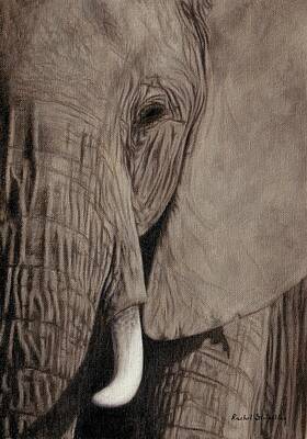 Designs Similar to African Elephant Painting