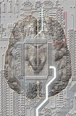 Designs Similar to Brain Circuit by Mike Agliolo