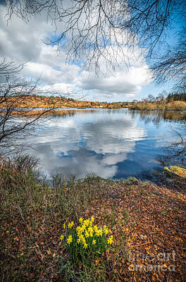 Elsi Reservoir Art