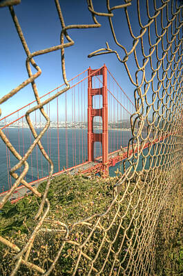 Chain Link Fence Photos