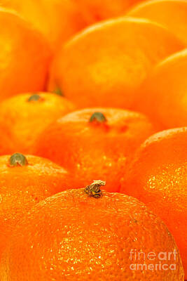 Navel Orange Photos