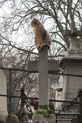 Paris Cemetery Cats Art
