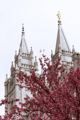 Salt Lake Temple Lights Photos