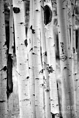 Designs Similar to Stand tall Aspens by Ruth Jolly
