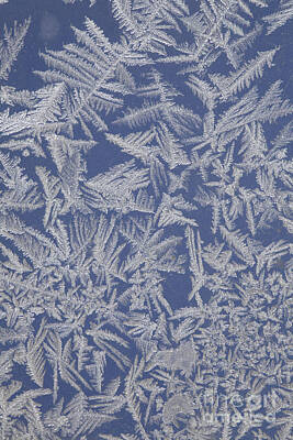 Designs Similar to Frost On A Window #1