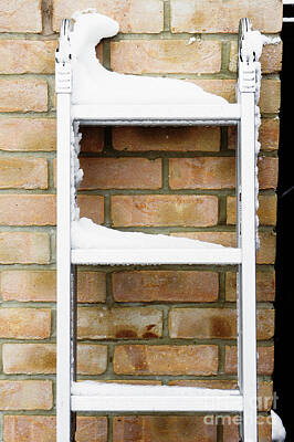 Designs Similar to Snow on a ladder #1