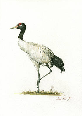 Designs Similar to Black necked crane