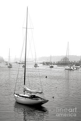 Designs Similar to Boothbay Harbor Memories