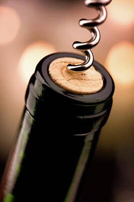 Wine Cork Photos