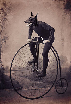 Designs Similar to Doberman Velocipede