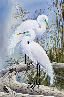 Egret Watercolor Artists Art