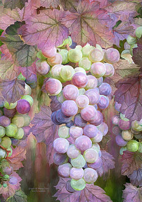 Designs Similar to Grapes Of Many Colors