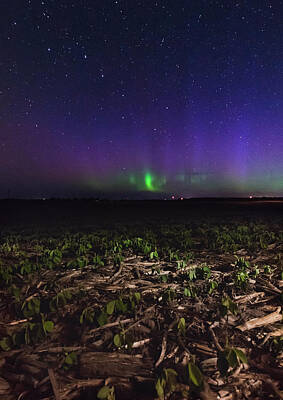Designs Similar to Northern Lights near Goderich 