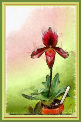  Painting - Orchid Botanical Print 2 by Earl Jackson