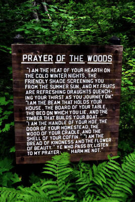 Designs Similar to Prayer of the Woods
