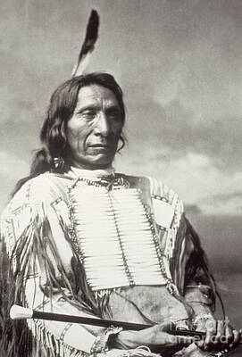 Designs Similar to Red Cloud Chief
