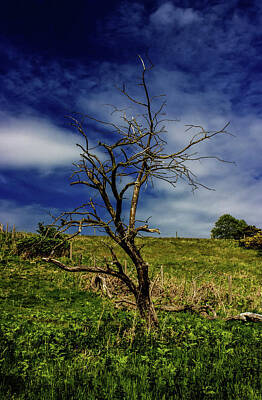 Designs Similar to Standing Alone by Martin Newman