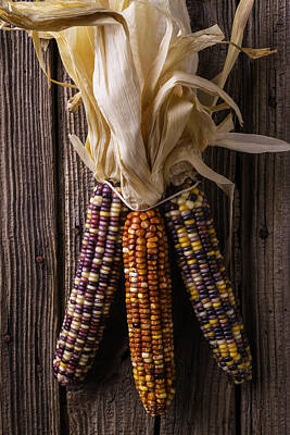 Designs Similar to Three indian Corn by Garry Gay