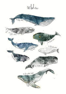 Whales Paintings
