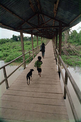 Peruvian Amazon Art