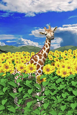 Tall Sunflower Digital Art