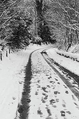  Photograph - A wooded lane in snow by Diarmid Weir