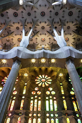 Designs Similar to Flowers In The Sagrada